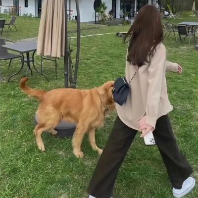 无名之辈：否极泰来