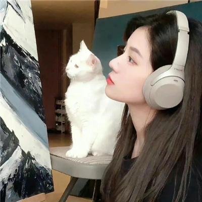 睡觉的笨蛋